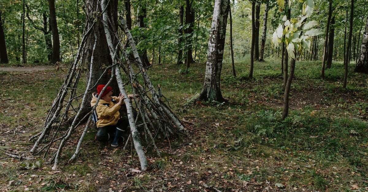 Fallout Shelter Kids in 3 Hours? [duplicate] - A Boy Hiding Behind the Wooden Sticks