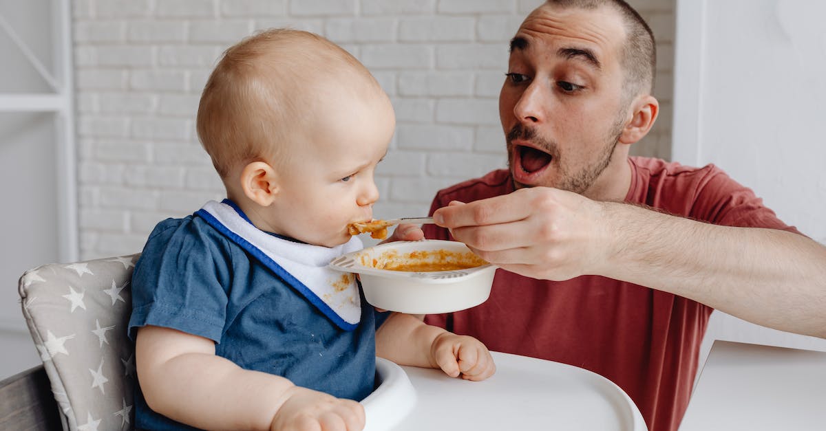 Family dweller? [duplicate] - Man in Blue Shirt Holding Baby in White High Chair
