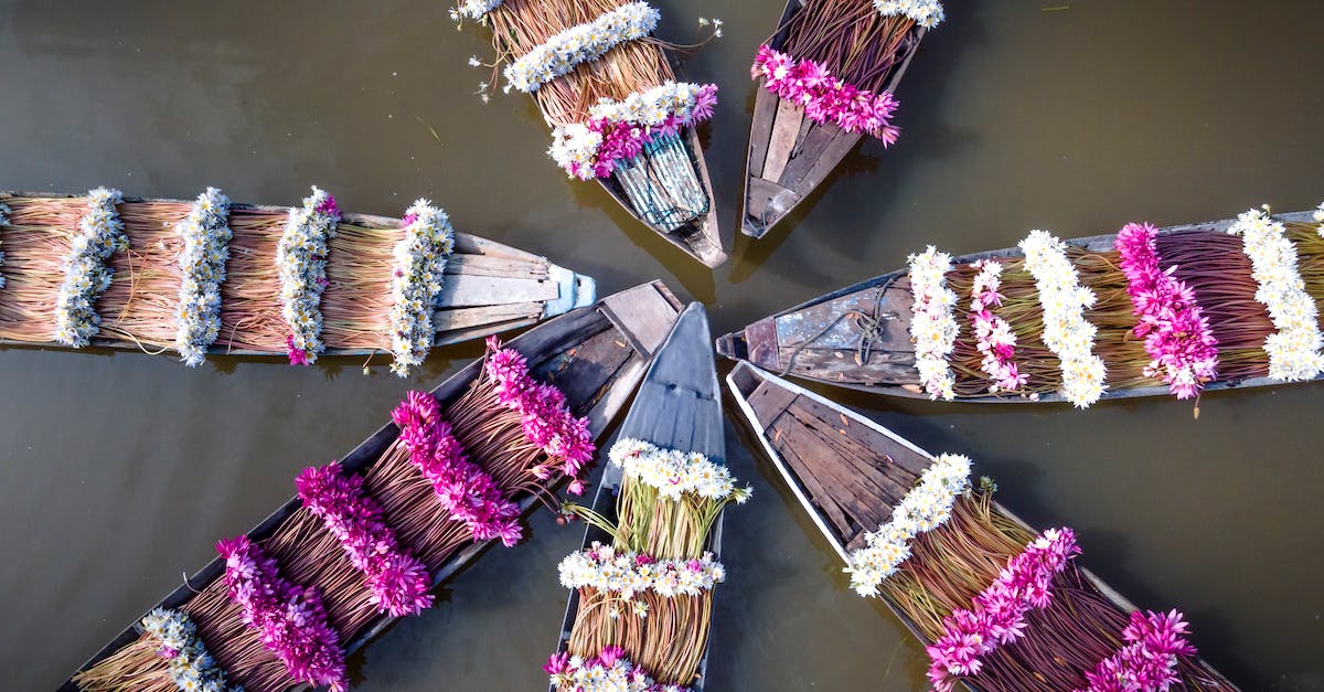 Far Cry 4 installation stuck on PS3 (CD version) - Top View of Kayaks Decorated with Purple and White Flowers