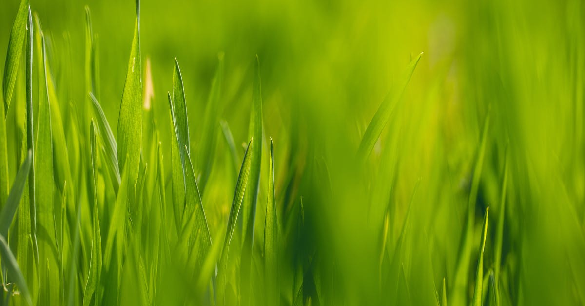 Farming Hadium Flakes for Reforging the Blade - Green Grass Hd Wallpaper Farming Hadium Flakes for Reforging the Blade - Green Grass Hd Wallpaper