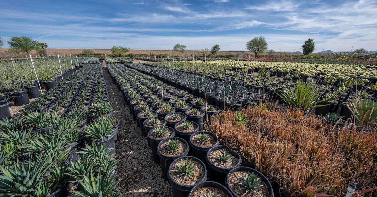Farming zones are not fully uzed - Desert Tree Farm Farming zones are not fully uzed - Desert Tree Farm
