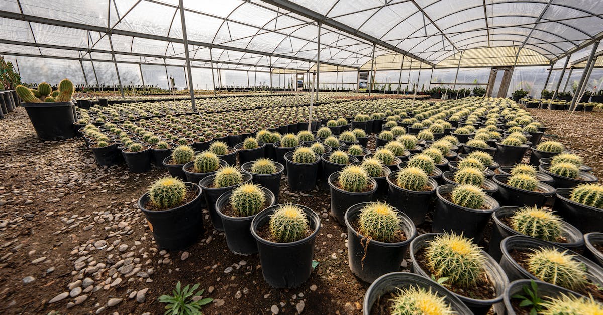 Farming zones are not fully uzed - Desert Tree Farm Farming zones are not fully uzed - Desert Tree Farm