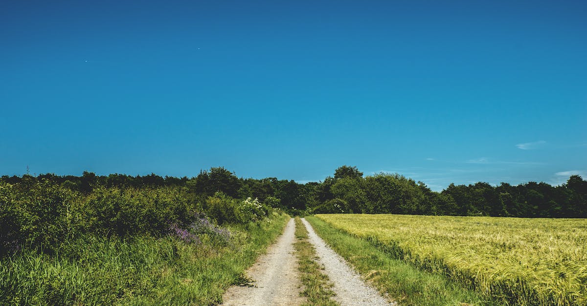 Faster way to farm ender-lilies - Road in Between of Grasslands Faster way to farm ender-lilies - Road in Between of Grasslands