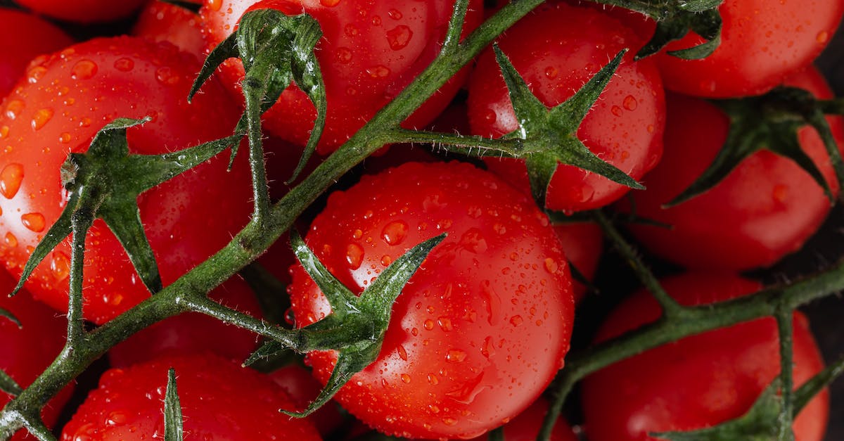 Fastest place to farm gold - Fresh ripe red tomatoes with water drops Fastest place to farm gold - Fresh ripe red tomatoes with water drops