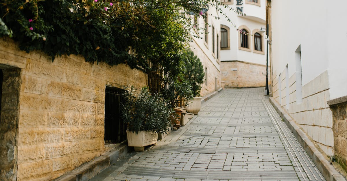 Fastest way to clear cobblestone blocks - Empty narrow paved street leading to aged residential buildings and decorated with lush green potted plants Fastest way to clear cobblestone blocks - Empty narrow paved street leading to aged residential buildings and decorated with lush green potted plants