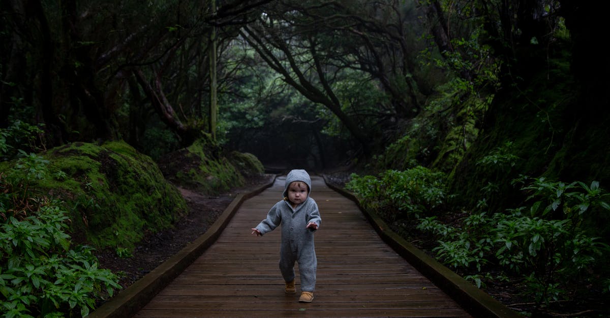 Fastest ways to gain XP - Concentrated kid trying making steps on planked footpath in dark deep forest in cold day Fastest ways to gain XP - Concentrated kid trying making steps on planked footpath in dark deep forest in cold day