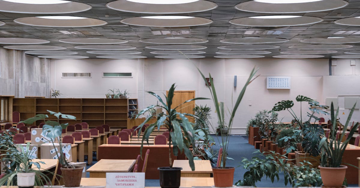 fatal error could not load library Counter Strike 1.6 - Various fresh potted plants placed on wooden counter inside modern library with chairs and tables fatal error could not load library Counter Strike 1.6 - Various fresh potted plants placed on wooden counter inside modern library with chairs and tables