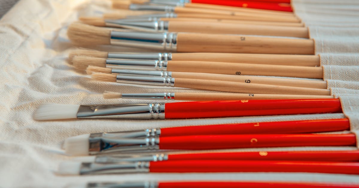 Feed the Beast Mod-pack Cannot connect to servers or create new worlds [closed] - Photo of Paintbrushes