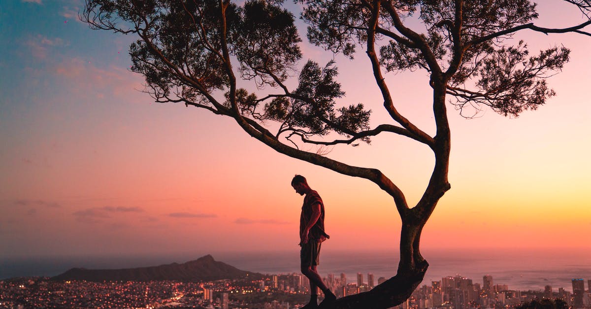 Fifa 17 forcing me to create EA account - Man Standing on Tree Branch during Sunset Fifa 17 forcing me to create EA account - Man Standing on Tree Branch during Sunset
