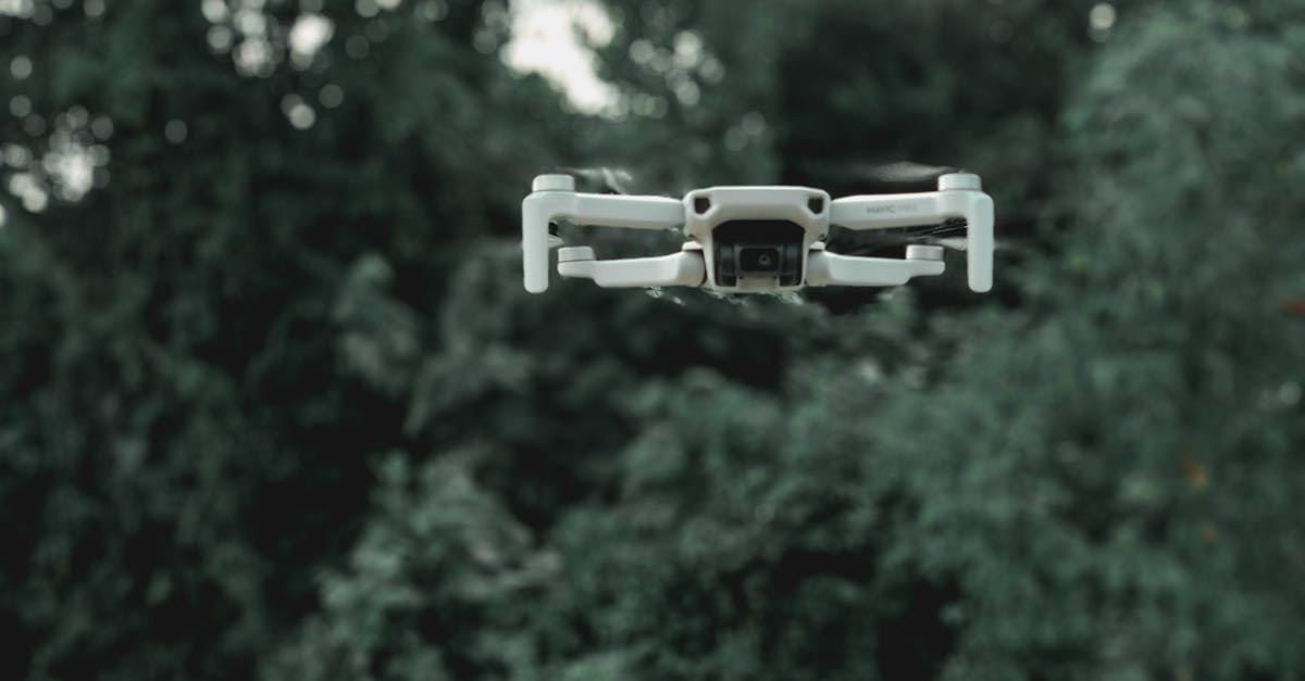 Fighting Metal Gear without enough plastic explosives, what now? - Drone flying near green trees in forest Fighting Metal Gear without enough plastic explosives, what now? - Drone flying near green trees in forest