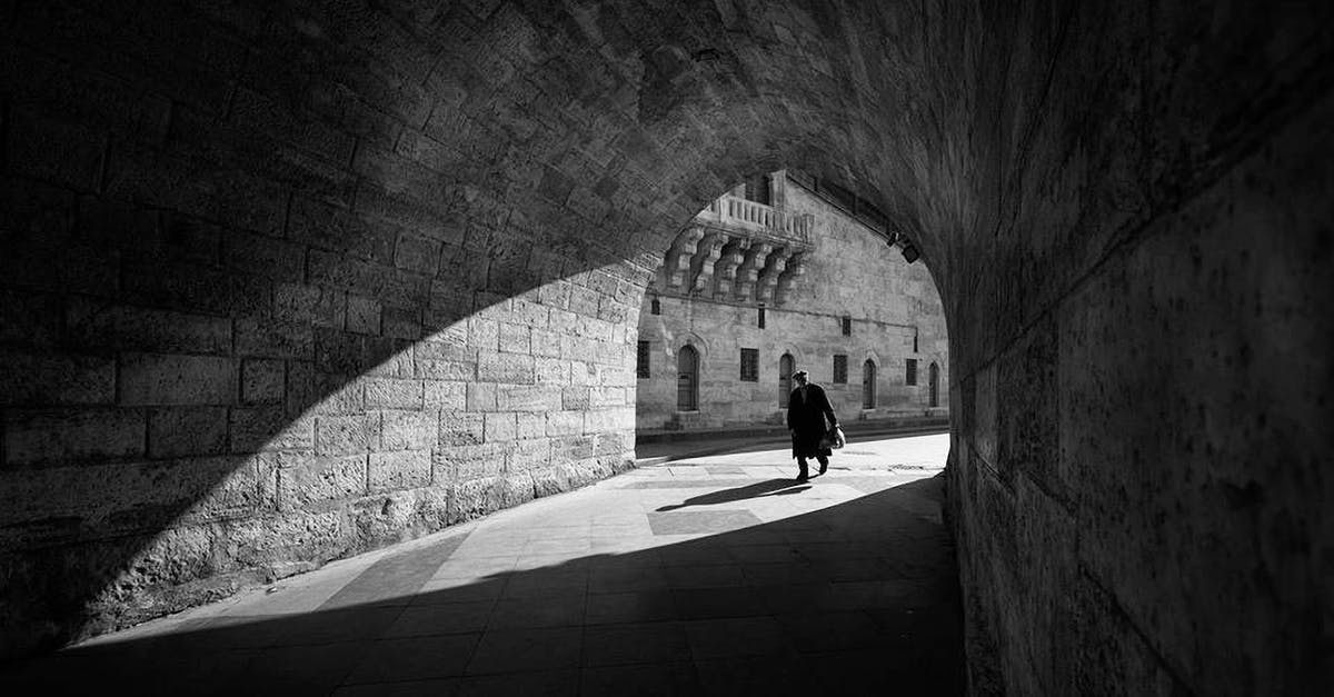 Figuring out item value in Dwarf Fortress Adventure - Black and white anonymous male walking along old stone tunnel near aged brick building Figuring out item value in Dwarf Fortress Adventure - Black and white anonymous male walking along old stone tunnel near aged brick building