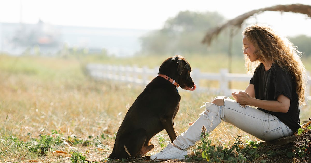 Final Dog Tag for We will all go together - A Woman Sitting with a Dog