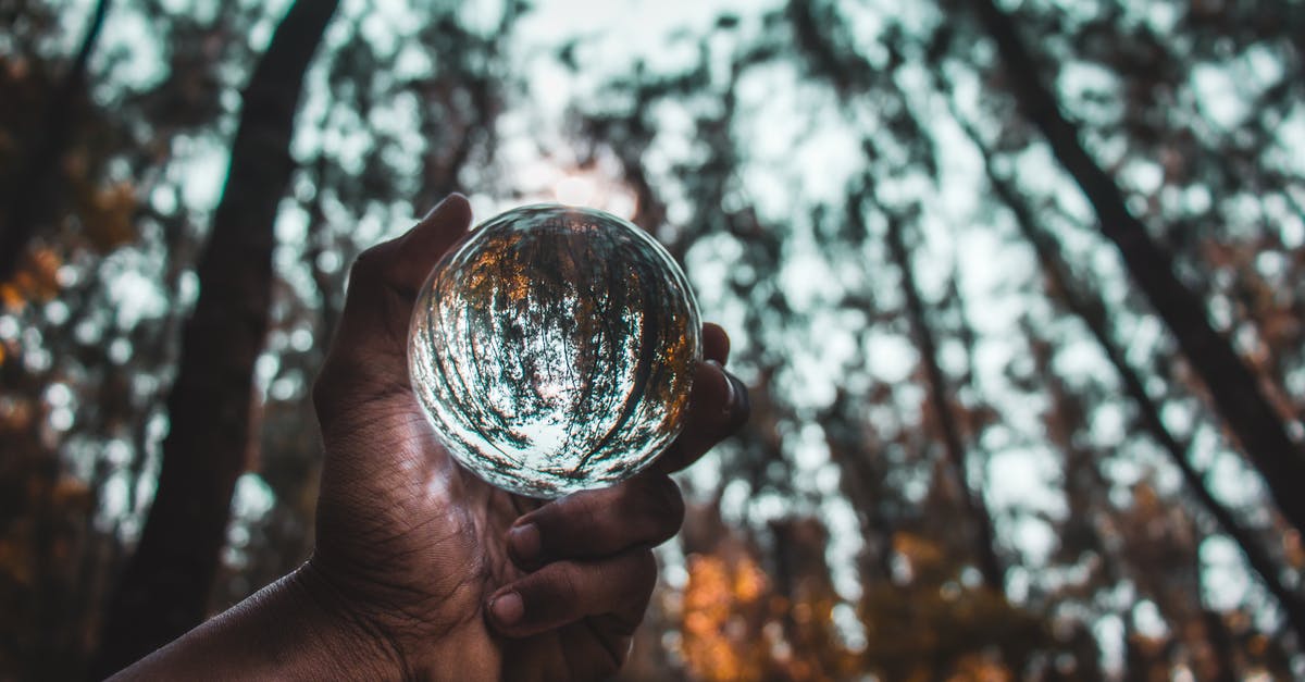 Final Fantasy XV Comrades Standalone vs Season Pass - From below of crop anonymous person holding transparent glass ball reflecting autumn trees in forest