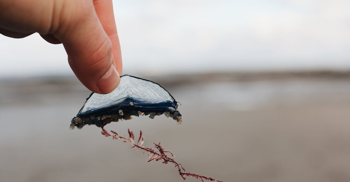 Finding Blocks without Coordinates - Person Holding Blue and White Textile