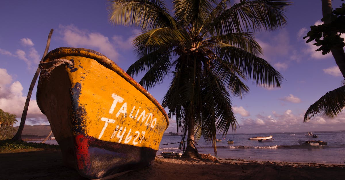 Finding coconuts on the beach? - Brown and Black Boat on Shore Near Coconut Trees Under Blue Sky and Clouds Finding coconuts on the beach? - Brown and Black Boat on Shore Near Coconut Trees Under Blue Sky and Clouds