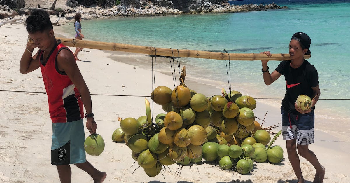 Finding coconuts on the beach? - Men Carrying Coconuts Finding coconuts on the beach? - Men Carrying Coconuts