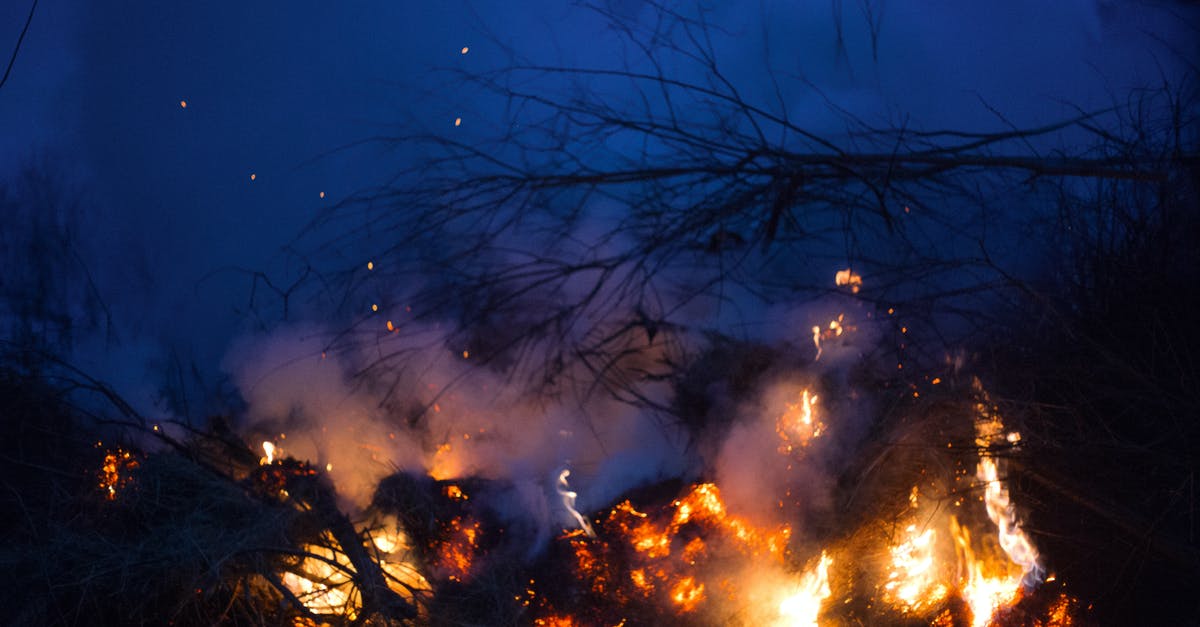 Fire damage in the Nether - Bright flames of fire burning on thin dry branches in smoke in grove of forest Fire damage in the Nether - Bright flames of fire burning on thin dry branches in smoke in grove of forest