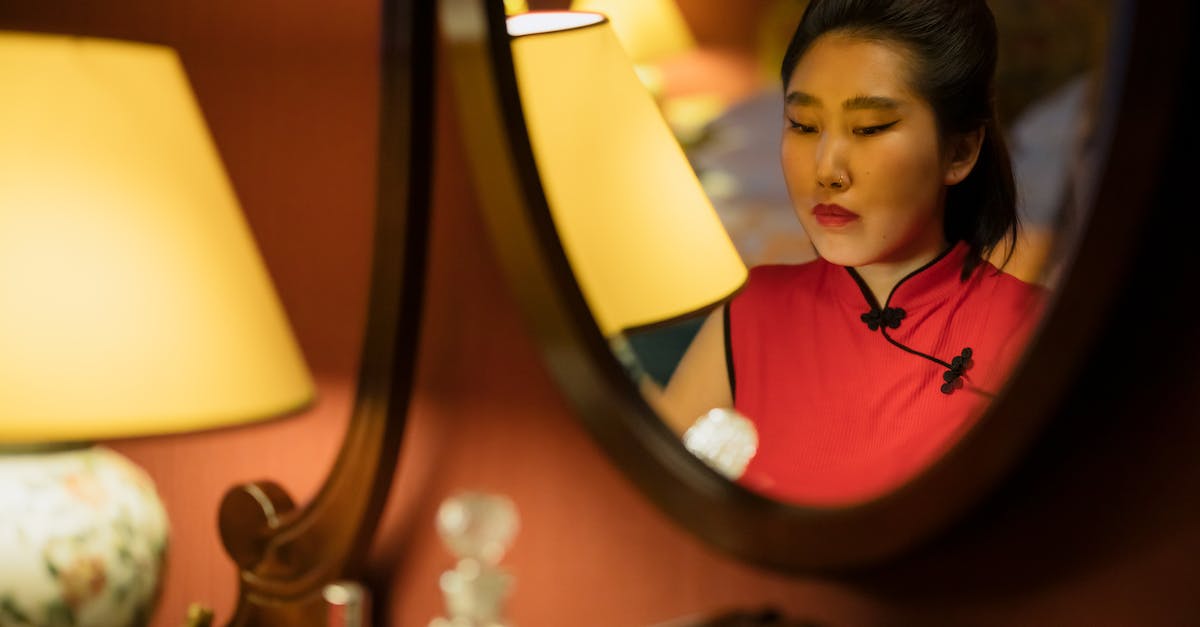 Followers don't stay dressed in Skyrim [duplicate] - Woman Sitting in Front of the Mirror