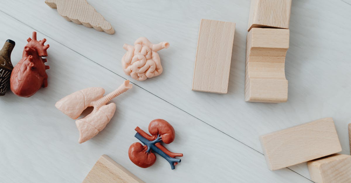For bachelors and bachelorettes, is 8 hearts or 10 hearts considered "maxed-out friendship levels"? - Brown Wooden Rolling Pin and White Rope
