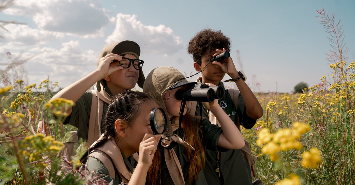 For multi-troop cards does Damage Per Second apply to each troop or all troops collectively? - A Group of Kids Scouting For multi-troop cards does Damage Per Second apply to each troop or all troops collectively? - A Group of Kids Scouting