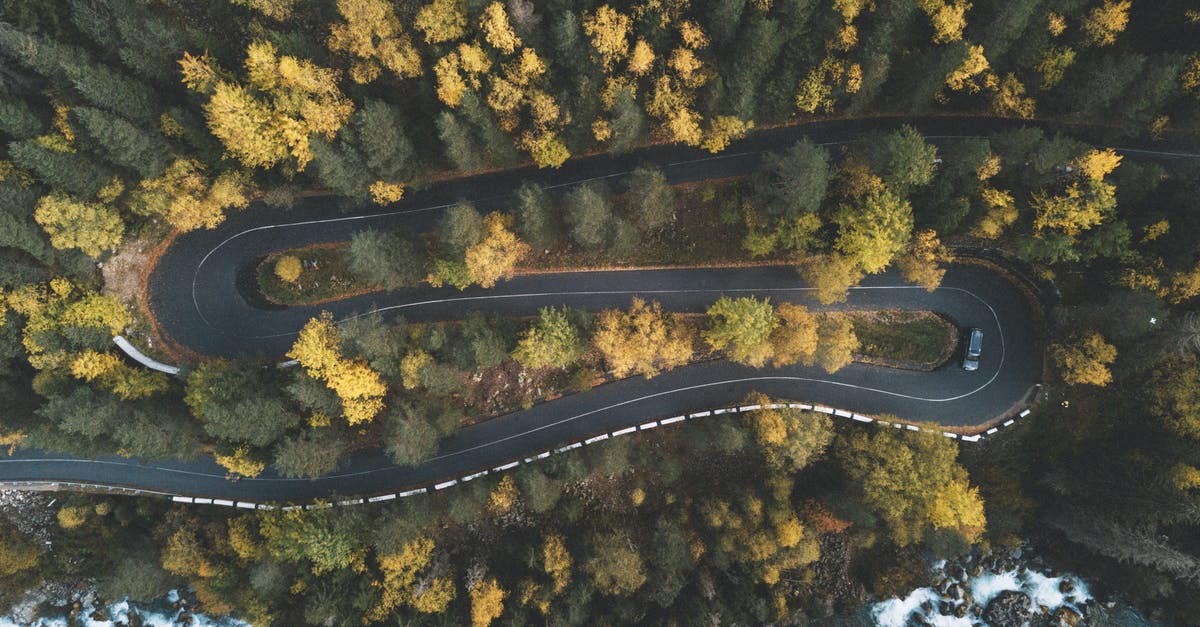 Freeing squad members from slavery - Top View Photo of Curved Road Surrounded by Trees