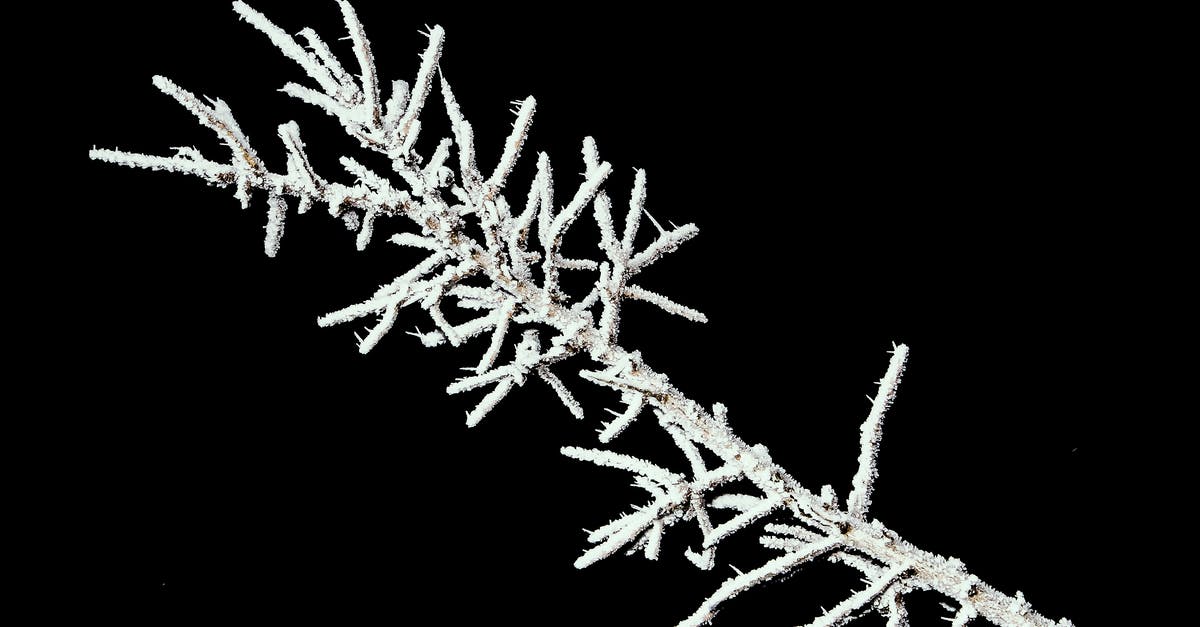 Freezing issue when loading multiplayer with Black Ops 2? - Tree Branch Covered with Snow Freezing issue when loading multiplayer with Black Ops 2? - Tree Branch Covered with Snow
