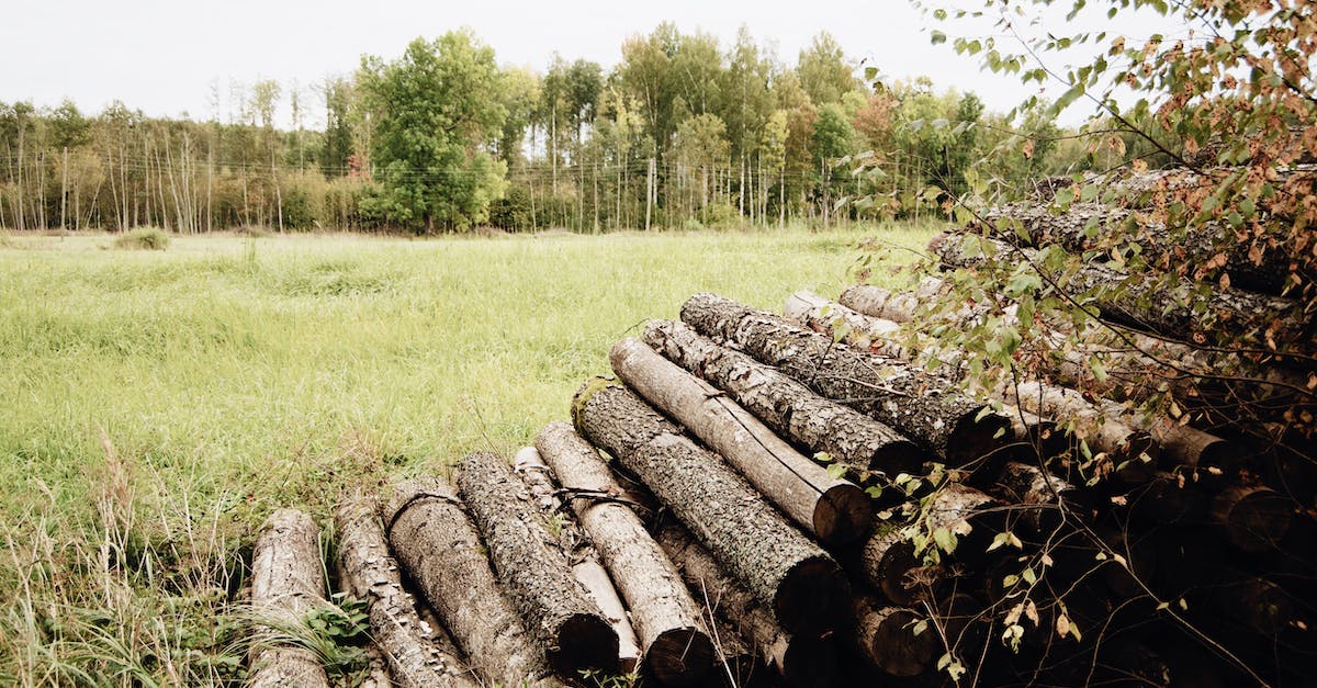 Frogs fell from the sky. Now what? - Timber logs stacked up in pile on grassy field against colorful trees and cloudy sky on autumn nasty day in countryside