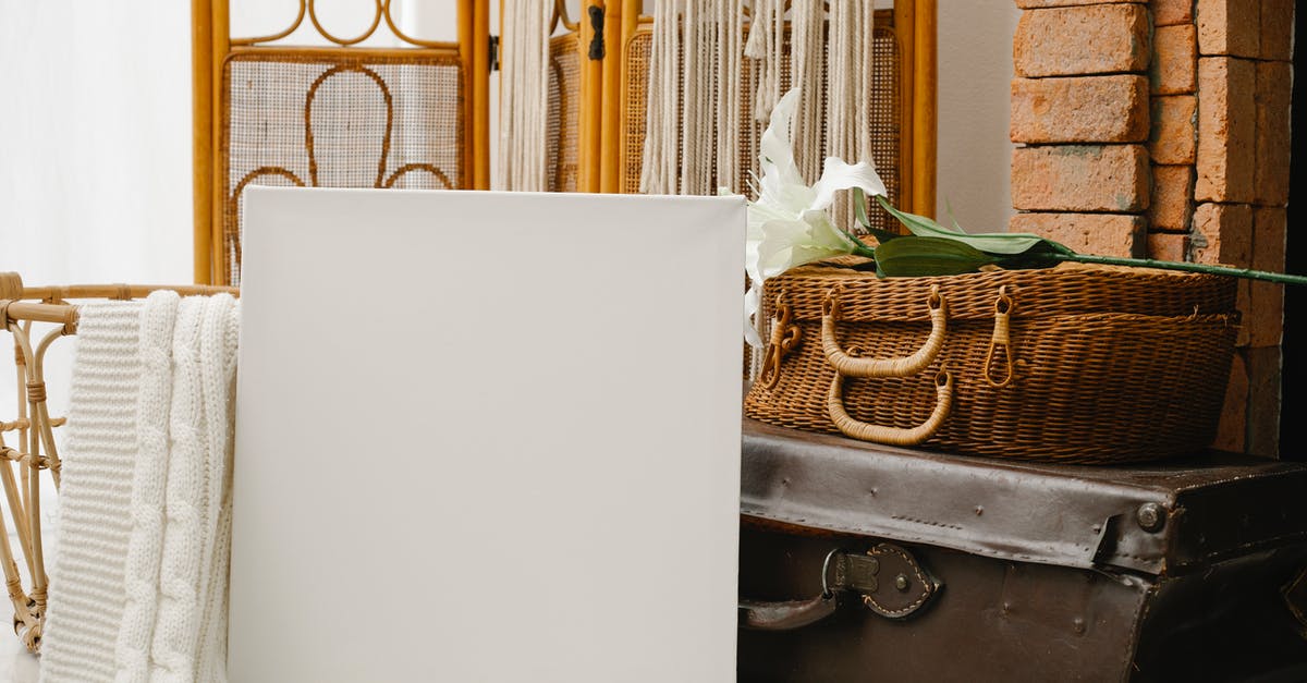 Furnished Studio Apartment - Do eviscerators work? - Canvas placed against retro suitcases and folding screen Furnished Studio Apartment - Do eviscerators work? - Canvas placed against retro suitcases and folding screen