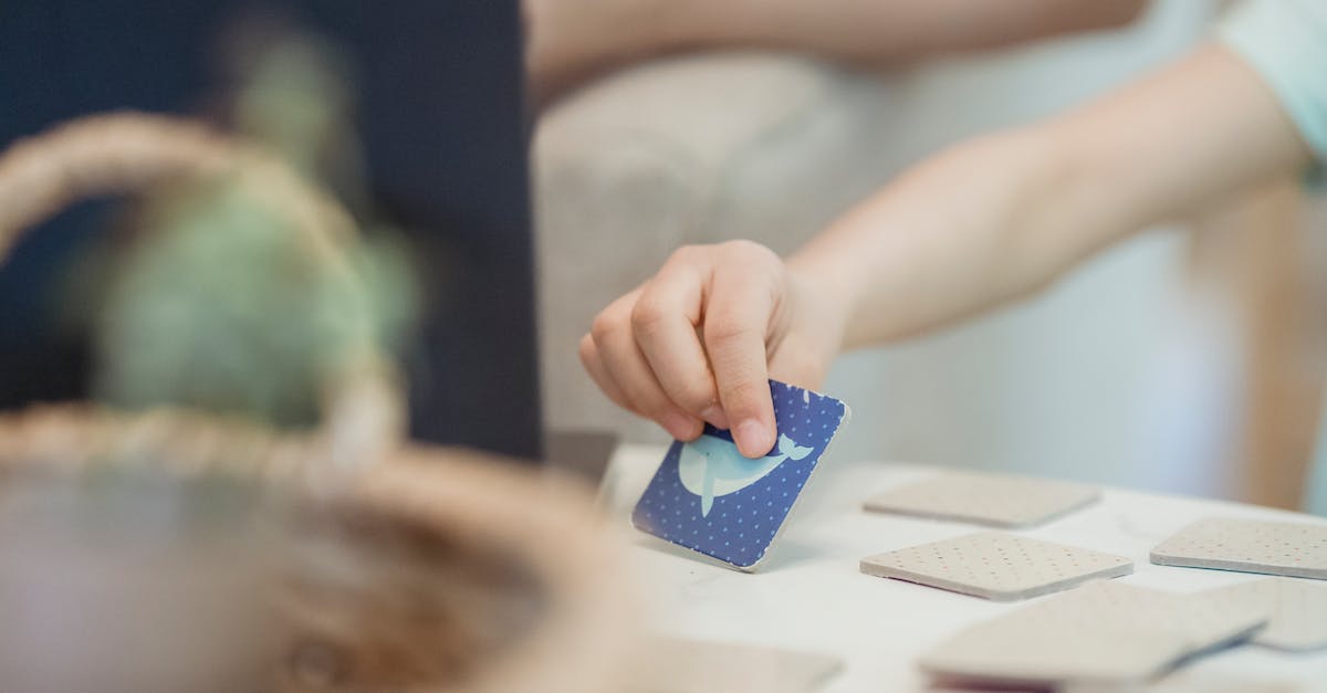 Gamecube Memory Cards Life Span - Person Holding Blue Plastic Toy Gamecube Memory Cards Life Span - Person Holding Blue Plastic Toy