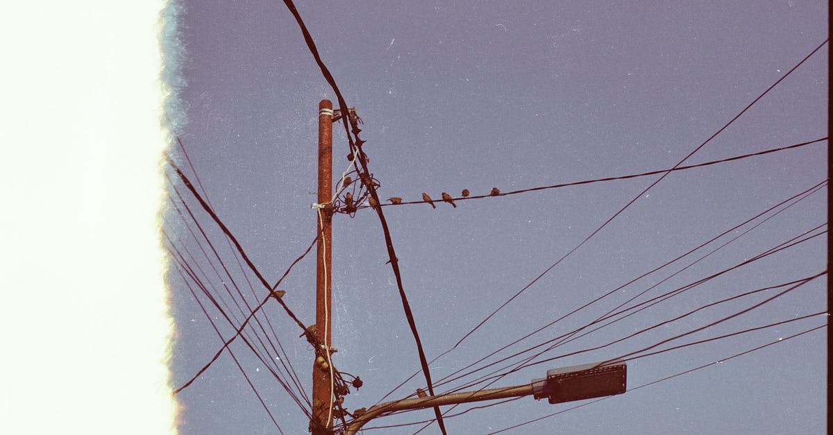 Getting cl_flushentitypacket even after wired connection and low ping - Flock of Birds on Utility Post Getting cl_flushentitypacket even after wired connection and low ping - Flock of Birds on Utility Post