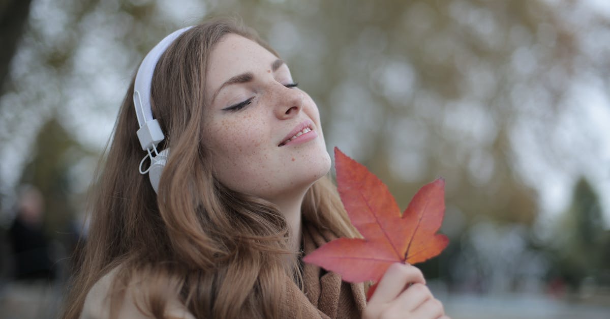 Getting past the Tree of Life in "Seasons" - Young satisfied woman in headphones with fresh red leaf listening to music with pleasure while lounging in autumn park