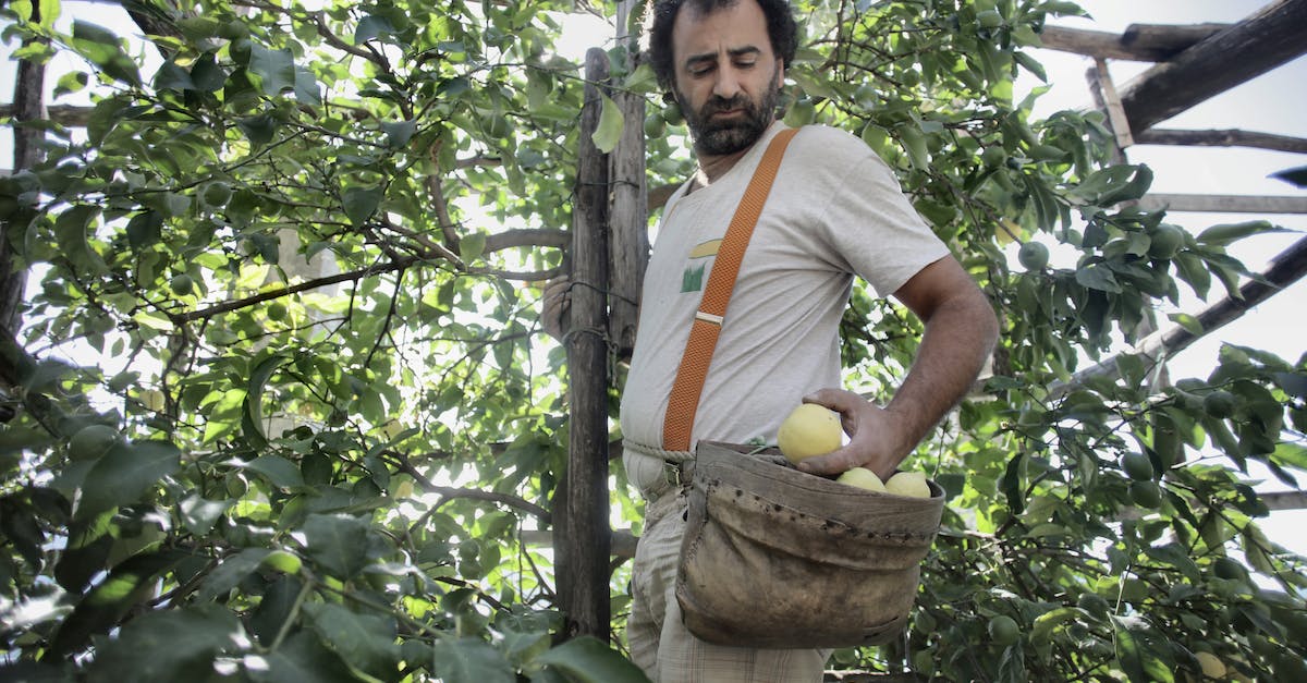 Getting rid of "tree darkness" - Man in White Crew Neck T-shirt Standing Under Green Tree