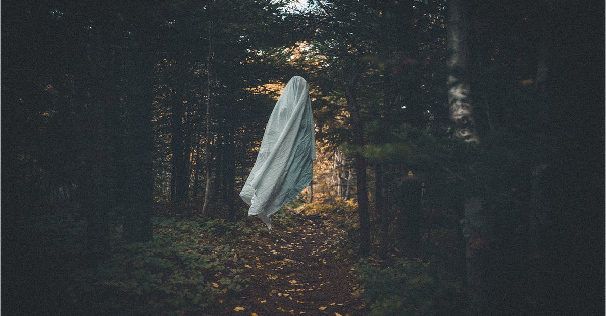 Ghoul acquiring abilities - Scary ghost in dark grove with coniferous trees Ghoul acquiring abilities - Scary ghost in dark grove with coniferous trees