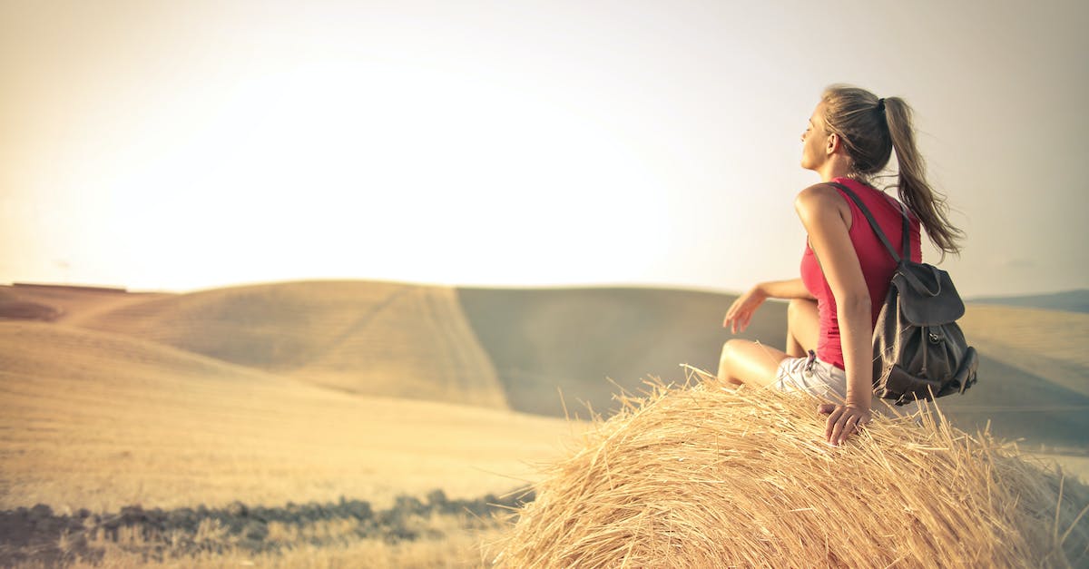 Gold packs on of Fifa 14 - Woman in Red Tank Top Sitting on Brown Hay Roll Carrying Back pack