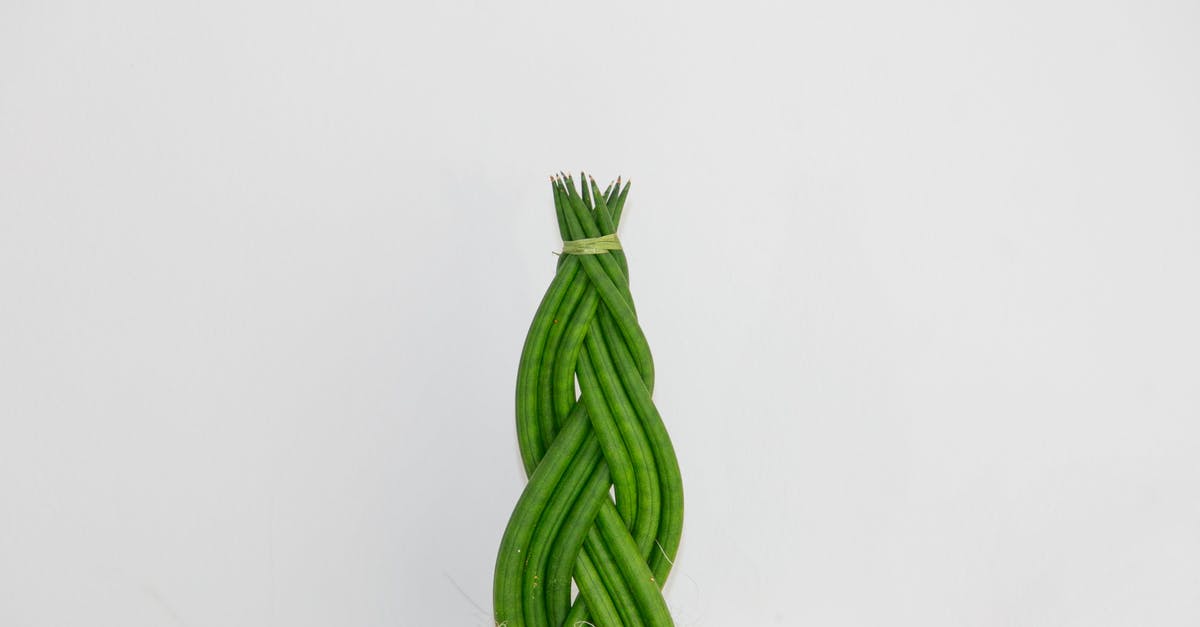 Green logic fault in Braid - Green Beans Illustration