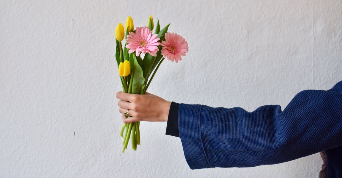 Green ring on resources - Unrecognizable person wearing blue jacket demonstrating bouquet of yellow tulips and pink gerberas in hand on white background during holiday
