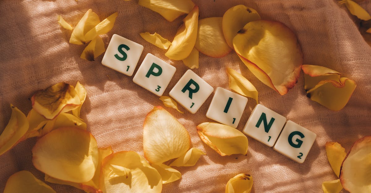 GTA V mapp mi numbers - Free stock photo of april, beautiful flowers, beauty
