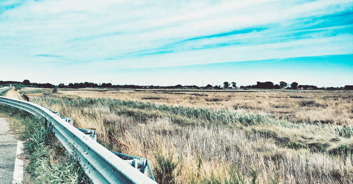 Guards attacking on sight in Nashkel - Photo of Road Railing Near Grasses Guards attacking on sight in Nashkel - Photo of Road Railing Near Grasses