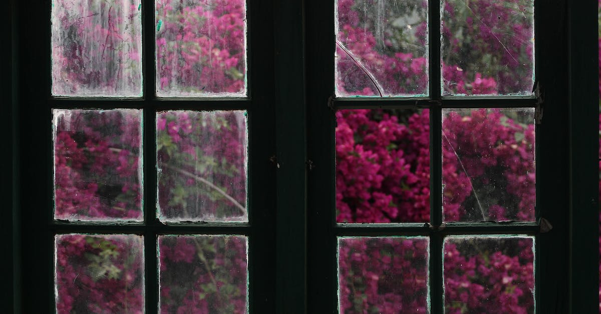 Hamachi on Windows 10 - Broken Glass Panels on a Window Hamachi on Windows 10 - Broken Glass Panels on a Window