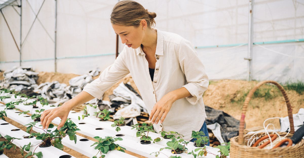 Harvesting plants (specifically Daybloom) - Woman in Beige Long Sleeve Shirt Holding Green Plant Harvesting plants (specifically Daybloom) - Woman in Beige Long Sleeve Shirt Holding Green Plant