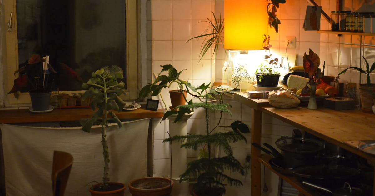 Has anyone in the world reached the 2048th tile in 2048 3×3 game? Is it even possible? - Collection of green plants in kitchen with shiny lamp