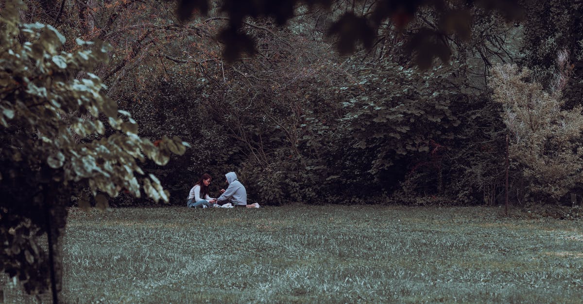 Have Sans and Flowey fought before? - Couple Doing Picnic Together Have Sans and Flowey fought before? - Couple Doing Picnic Together