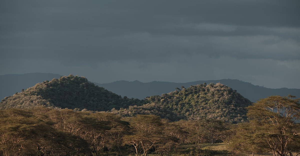 Having a very odd lag issue on one Minecraft server - View of Volcanic Hills in African Savanna Having a very odd lag issue on one Minecraft server - View of Volcanic Hills in African Savanna