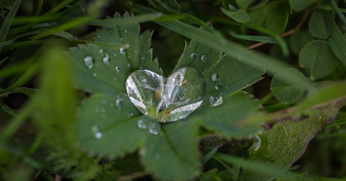 Heart Statues are only dropping one heart until the last is picked up - Green Leaf Plant