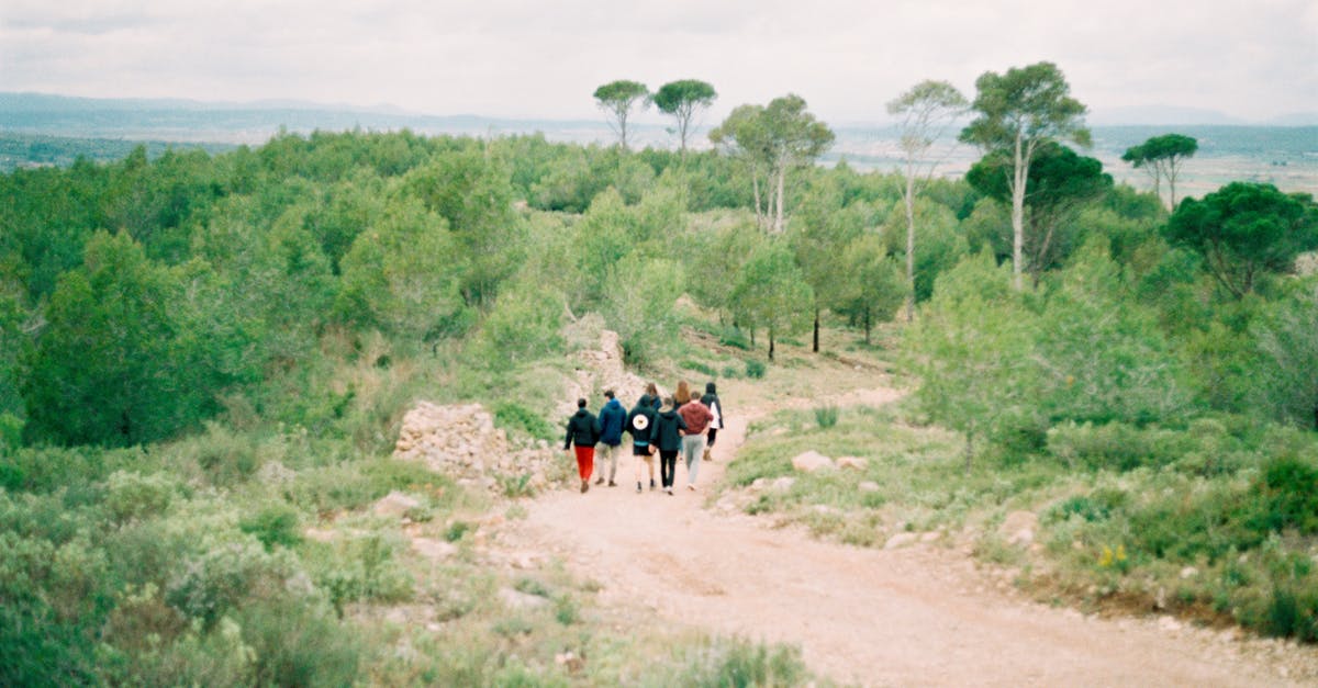 Hidden minecart trail - People Walking on Dirt Road Hidden minecart trail - People Walking on Dirt Road