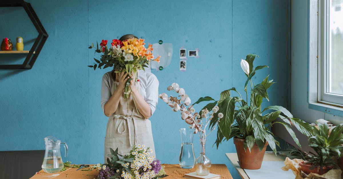 higan not working properly - Woman in White Dress Holding Bouquet of Flowers higan not working properly - Woman in White Dress Holding Bouquet of Flowers