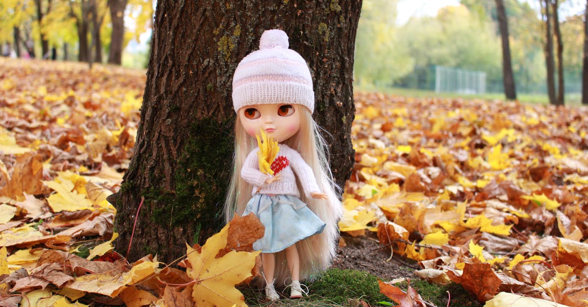 Highlight collectible items in Fallout 4 - Close-Up Photo of a Doll Near Autumn Leaves