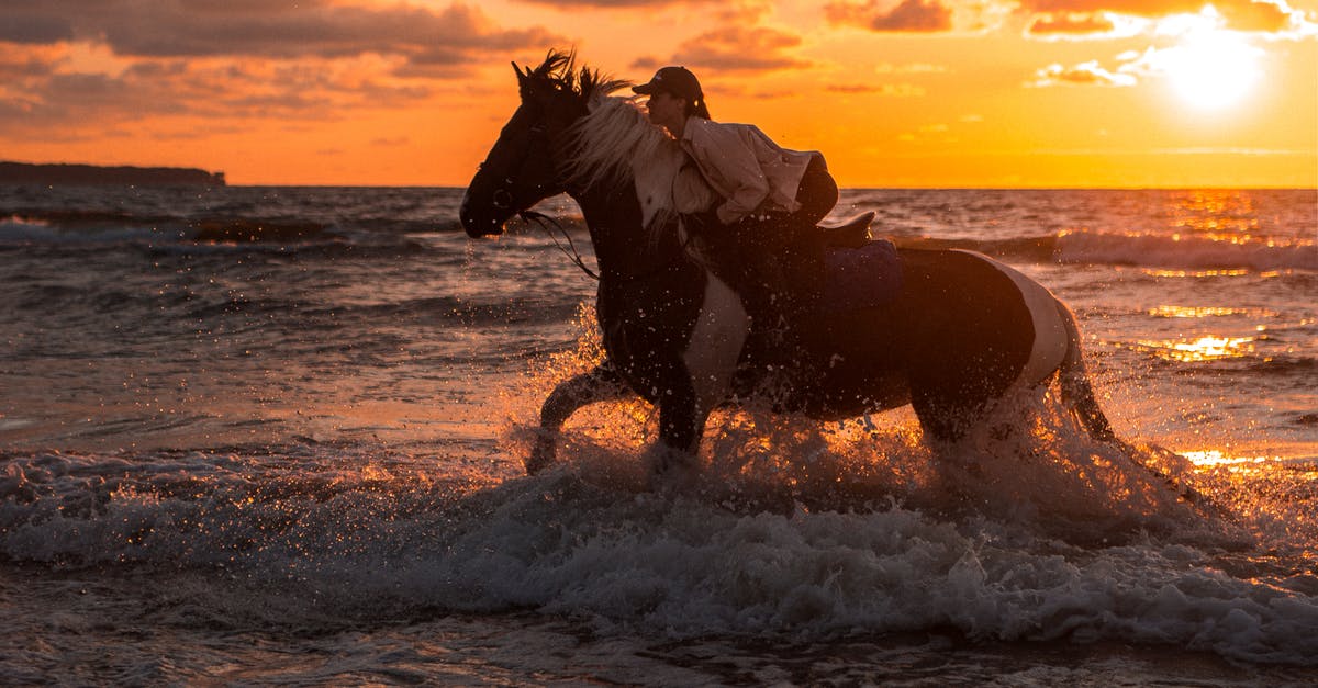 Horse Riding Combat - Equestrian riding a Horse on Seashore during Sunset Horse Riding Combat - Equestrian riding a Horse on Seashore during Sunset