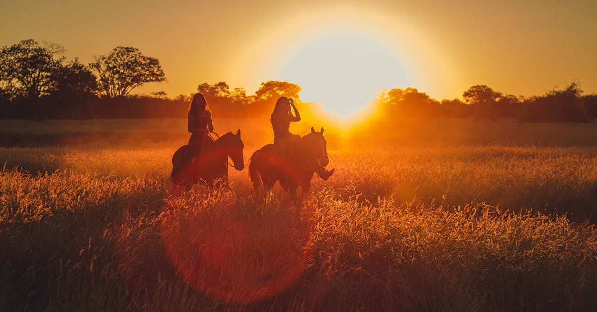Horse Riding Combat - Silhouette Photo of Two Persons Riding Horses Horse Riding Combat - Silhouette Photo of Two Persons Riding Horses