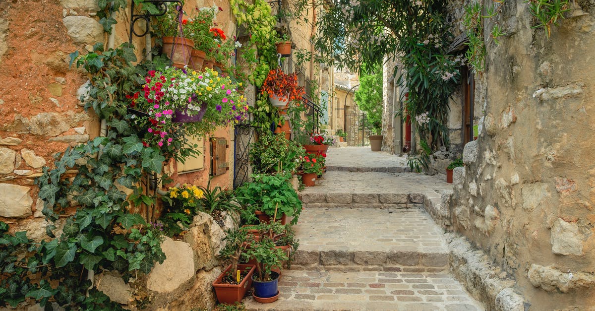 Housing steps and requirements in Caesar 3 - Narrow Paved Walkway With Decorative Flowering Plants Housing steps and requirements in Caesar 3 - Narrow Paved Walkway With Decorative Flowering Plants